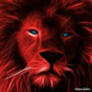 Meet your Posher, Bernard